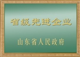 中启凯建集团